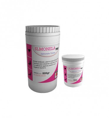 SLMONELA POWDER